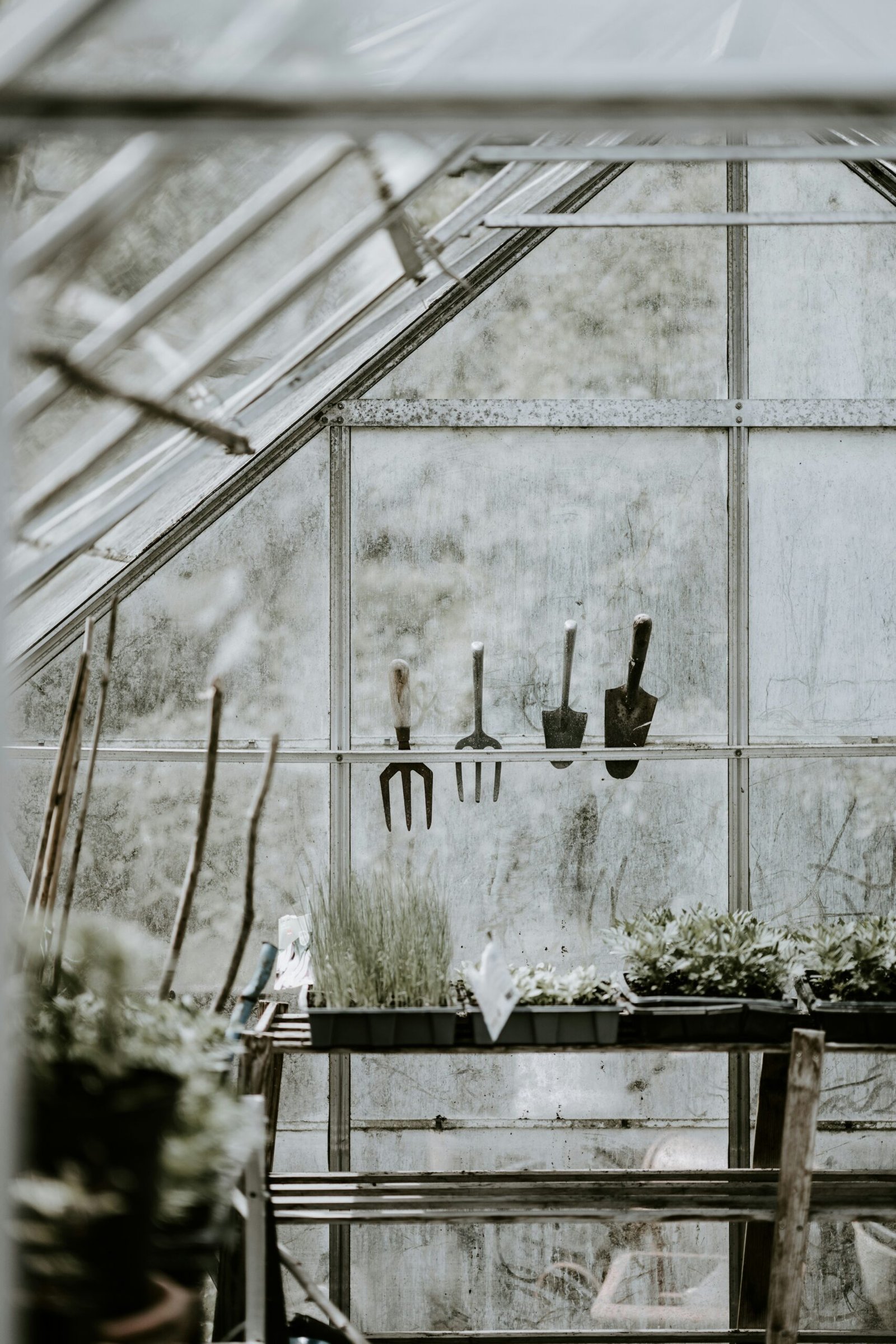 Winter Greenhouse Gardening: Crops, Heat, and Care